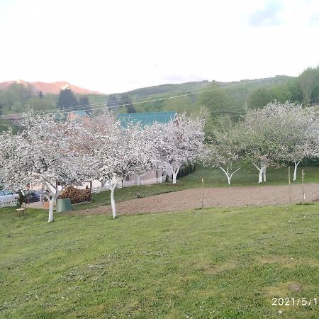 Apartments & Rooms Bojic Kolasin Luaran gambar