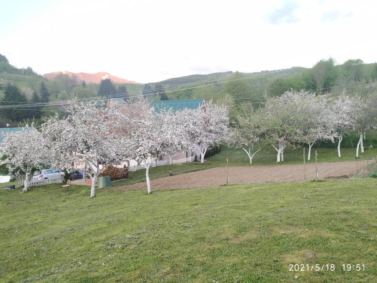 Apartments & Rooms Bojic Kolasin Luaran gambar