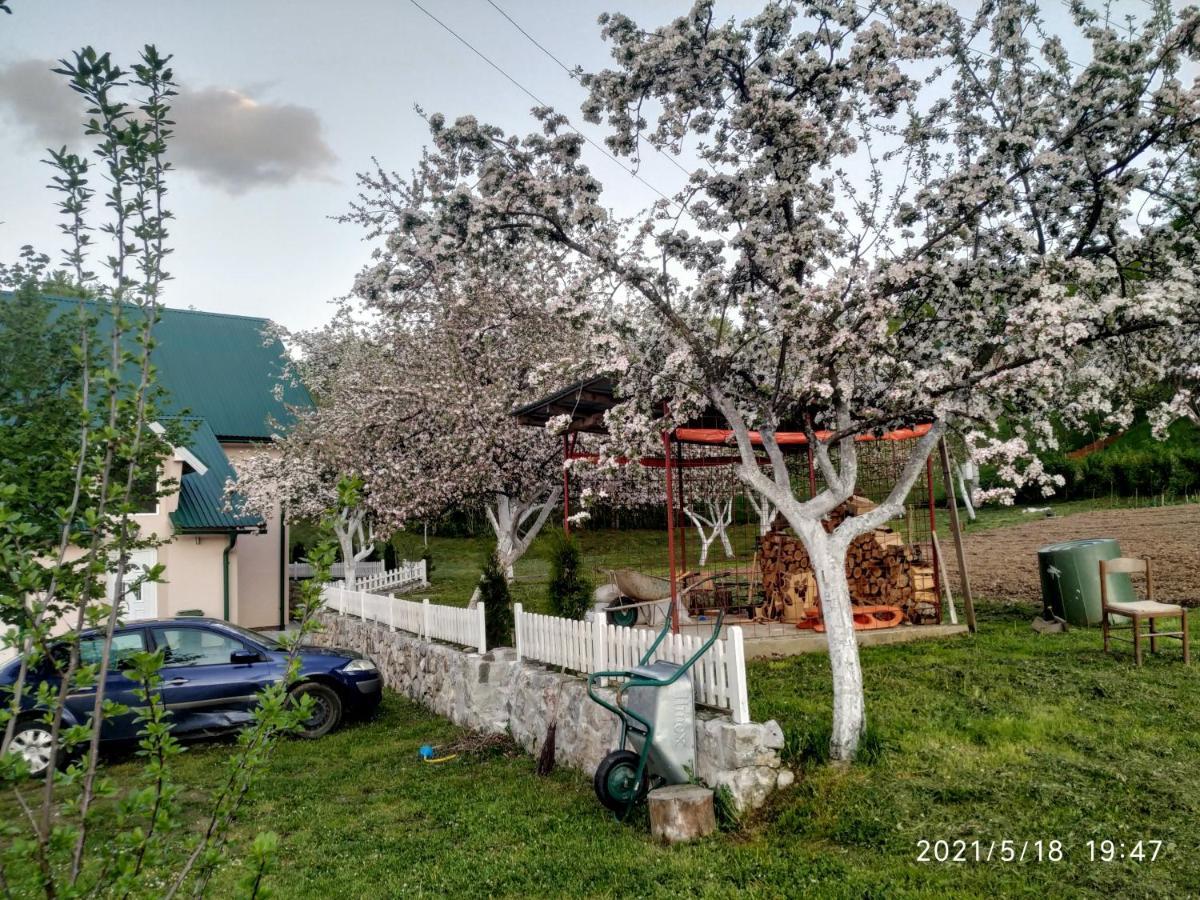 Apartments & Rooms Bojic Kolasin Luaran gambar
