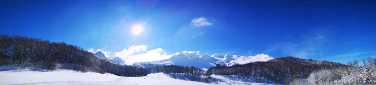 Apartments & Rooms Bojic Kolasin Luaran gambar
